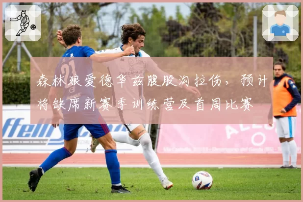 森林狼爱德华兹腹股沟拉伤，预计将缺席新赛季训练营及首周比赛