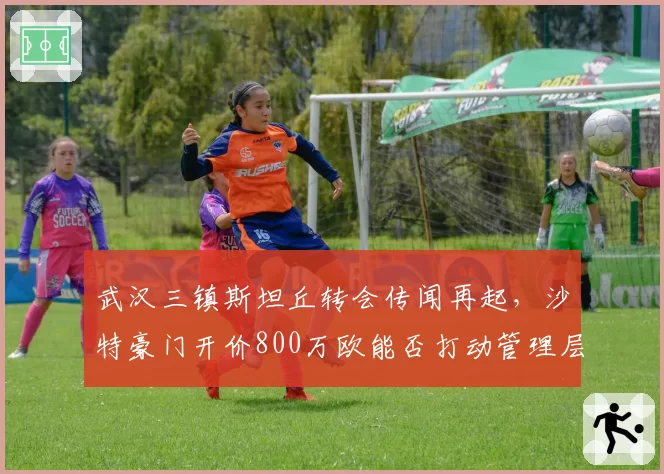 武汉三镇斯坦丘转会传闻再起，沙特豪门开价800万欧能否打动管理层？