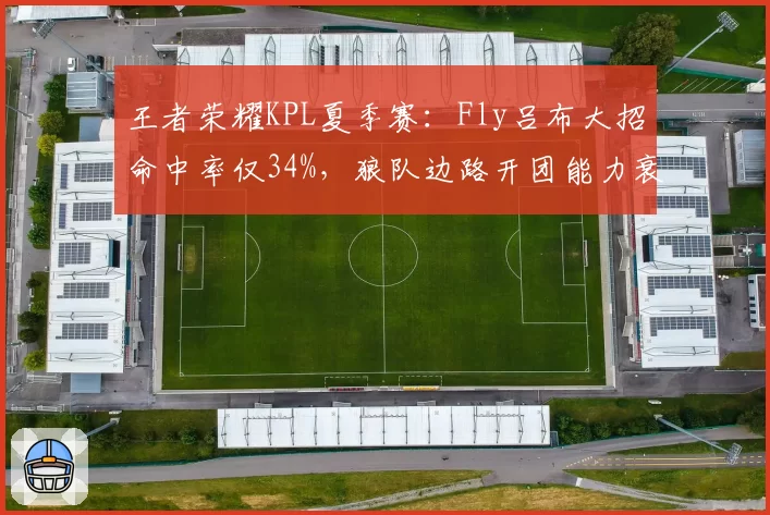 王者荣耀KPL夏季赛:Fly吕布大招命中率仅34%,狼队边路开团能力衰减